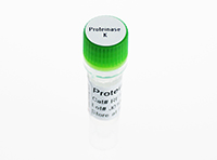 Proteinase K