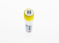 10x菌落菌液PCR增強劑-PR304