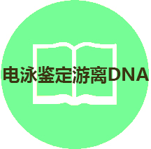 技(jì)術(shù)手冊：瓊脂糖凝膠電(diàn)泳鑒定遊離DNA